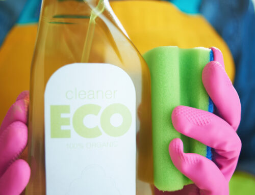 Michigan City’s Guide to Eco-Friendly House Cleaning Practices