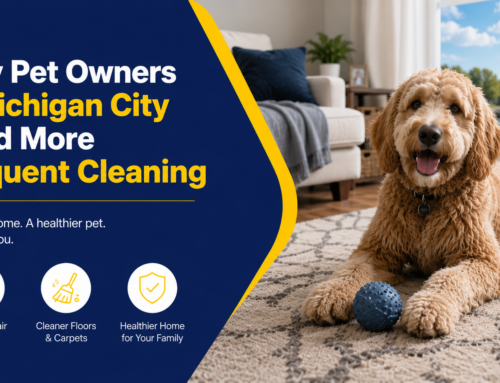 Why Pet Owners in Michigan City Need More Frequent Cleaning
